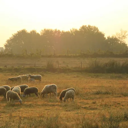 Séjour à la ferme Pantanello Pitigliano