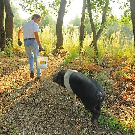 Séjour à la ferme Pantanello *